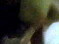 Filename=6f.flv
Filesize=2359KB
Dimensions=120x90
Date added=Sep 29, 2013 6f.flv