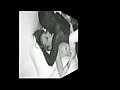 Filename=bb.flv
Filesize=18767KB
Dimensions=120x90
Date added=Jan 01, 2014 bb.flv