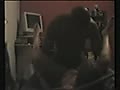 Filename=4b.flv
Filesize=6775KB
Dimensions=120x90
Date added=Jan 09, 2014 4b.flv