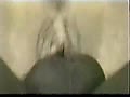 Filename=d2.flv
Filesize=95536KB
Dimensions=120x90
Date added=Feb 26, 2014 d2.flv