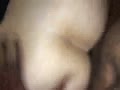 Getting fucked by BBC 
