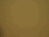 61.flv