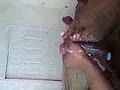 f6.flv