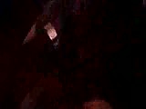 c3.flv