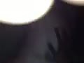6f.flv