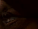 d7.flv