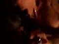 7f.flv