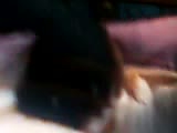 21.flv