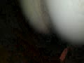 fd.flv