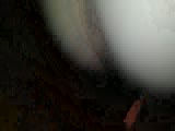fd.flv