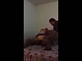 3c.flv