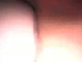 2c.flv