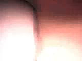 2c.flv